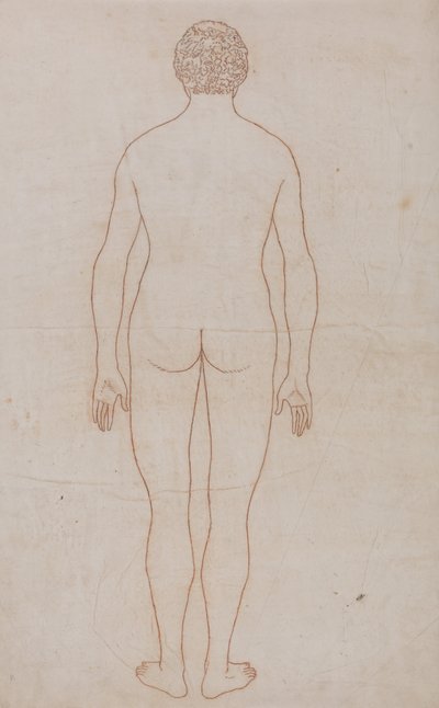 A Comparative Anatomical Exposition of the Structure of the Human Body with That of a Tiger and a Cow by George Stubbs